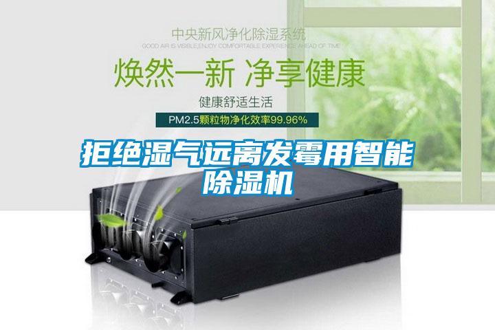 拒绝湿气远离发霉用智能除湿机