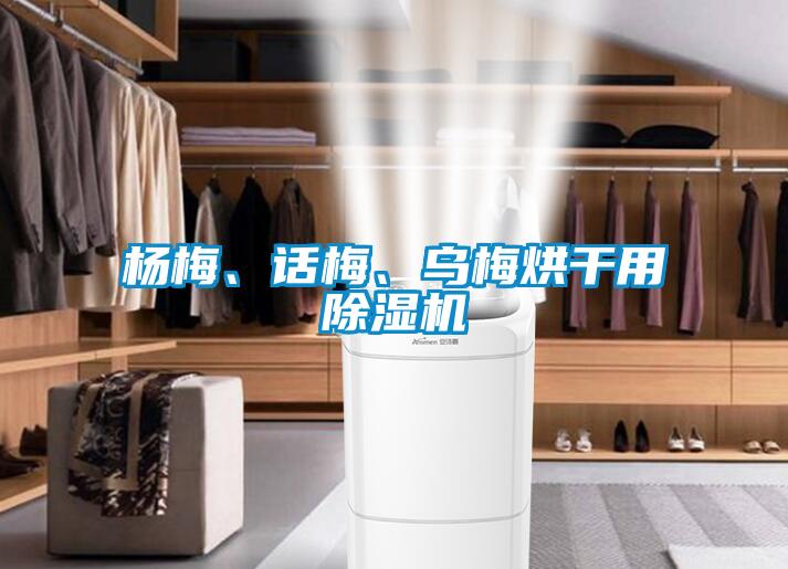 杨梅、话梅、乌梅烘干用除湿机