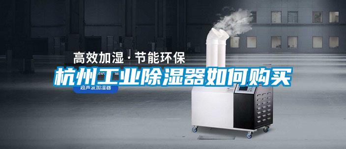 杭州工业除湿器如何购买