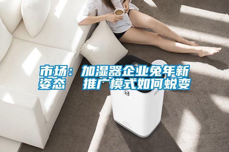 市场:加湿器企业兔年新姿态 推广模式如何蜕变
