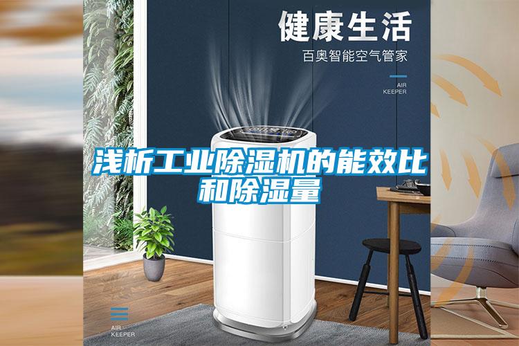 浅析工业除湿机的能效比和除湿量