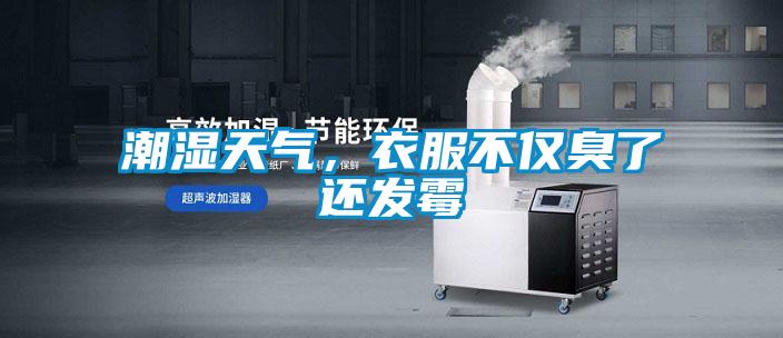 潮湿天气，衣服不仅臭了还发霉