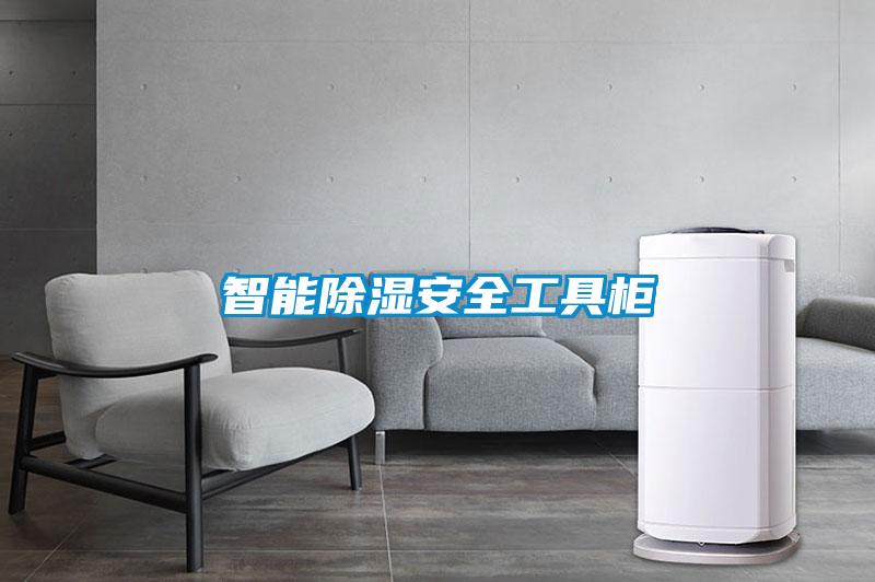 智能除湿安全工具柜
