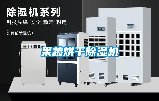 果蔬烘干除湿机