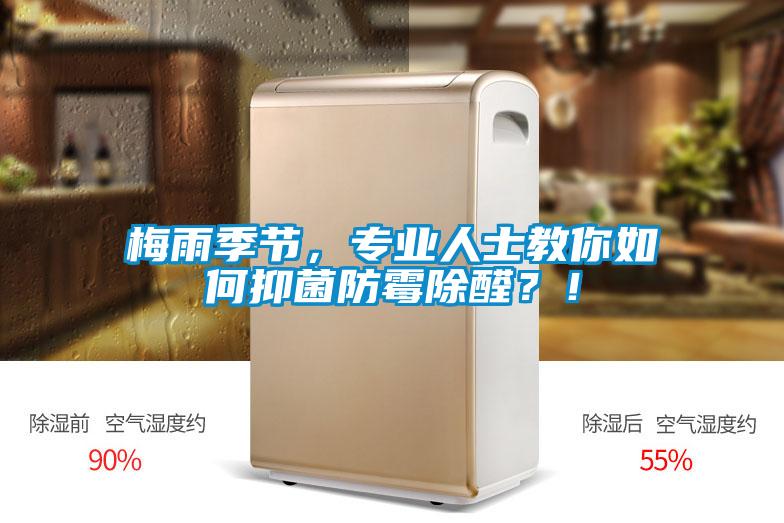 梅雨季节,专业人士教你如何抑菌防霉除醛?!