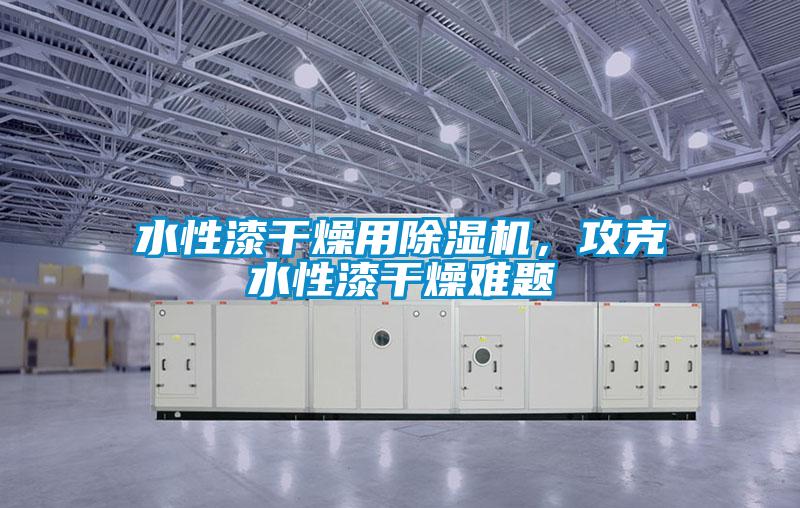 水性漆干燥用除湿机,攻克水性漆干燥难题