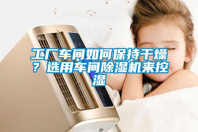 工厂车间如何保持干燥？选用车间除湿机来控湿