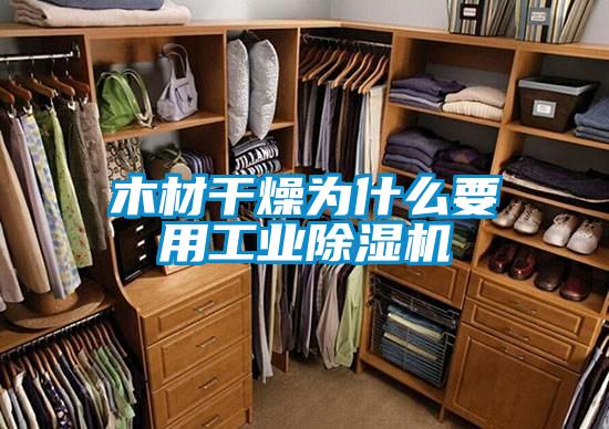 木材干燥为什么要用工业除湿机