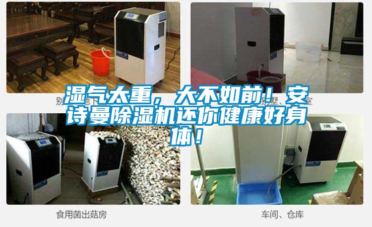 湿气太重，大不如前！安诗曼除湿机还你健康好身体！