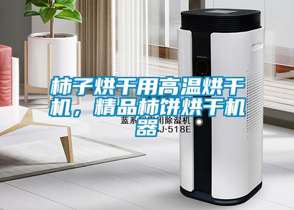 柿子烘干用高温烘干机,精品柿饼烘干机器