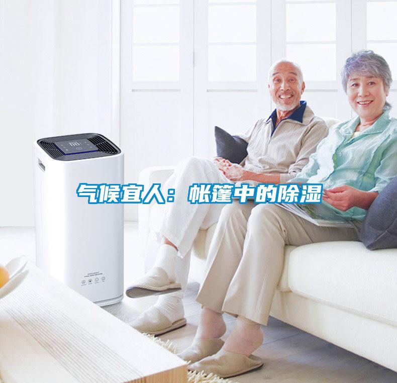 气候宜人：帐篷中的除湿