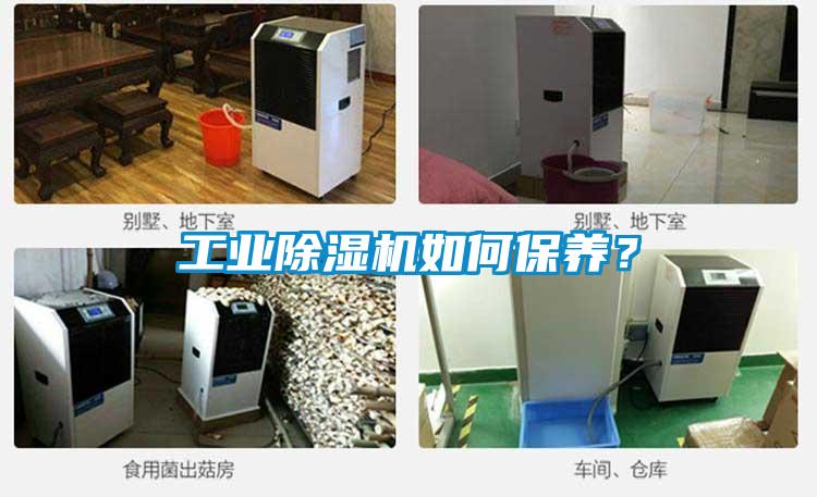 工业除湿机如何保养？