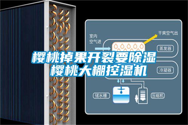 樱桃掉果开裂要除湿 樱桃大棚控湿机