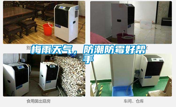 梅雨天气，防潮防霉好帮手