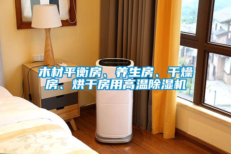 木材平衡房、养生房、干燥房、烘干房用高温除湿机