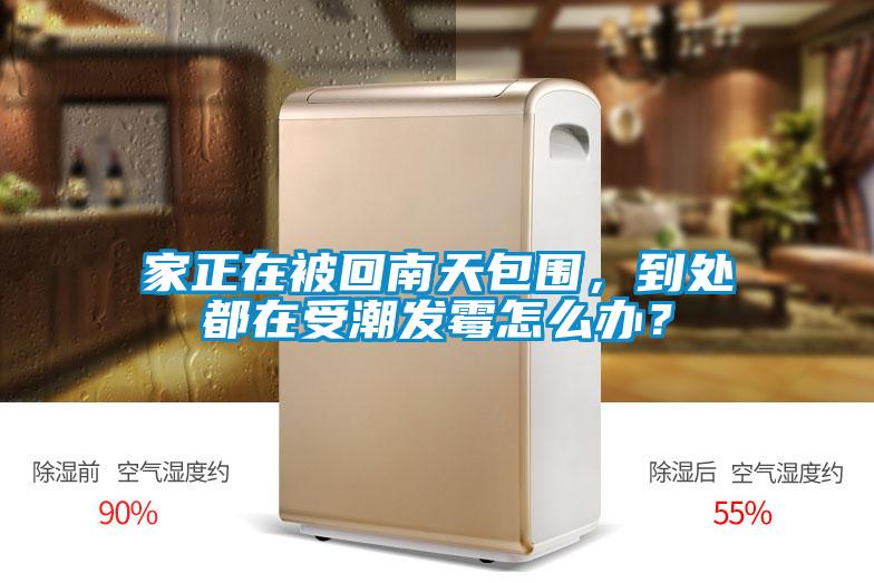 家正在被回南天包围，到处都在受潮发霉怎么办？