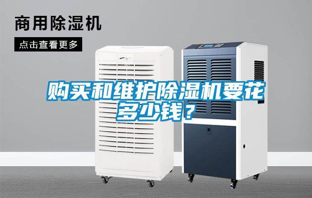 购买和维护除湿机要花多少钱？