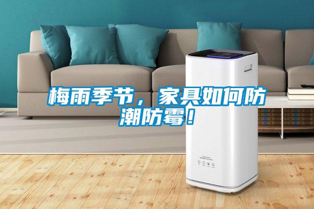 梅雨季节，家具如何防潮防霉！