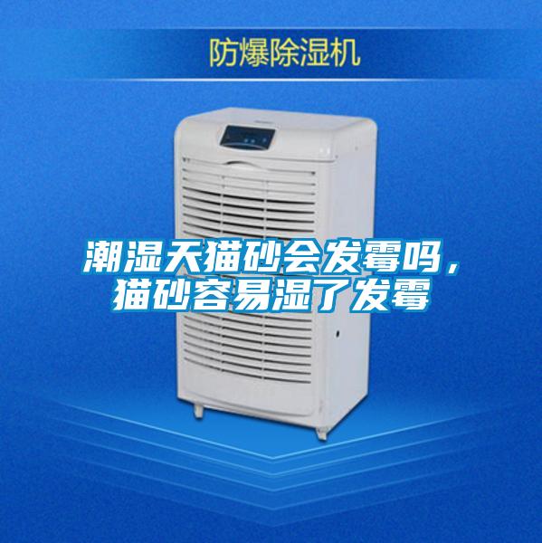 潮湿天猫砂会发霉吗，猫砂容易湿了发霉