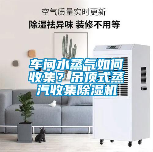 车间水蒸气如何收集？吊顶式蒸汽收集除湿机