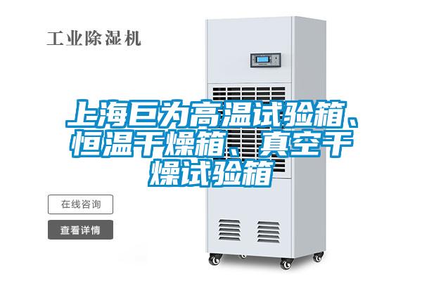上海巨为高温试验箱、恒温干燥箱、真空干燥试验箱