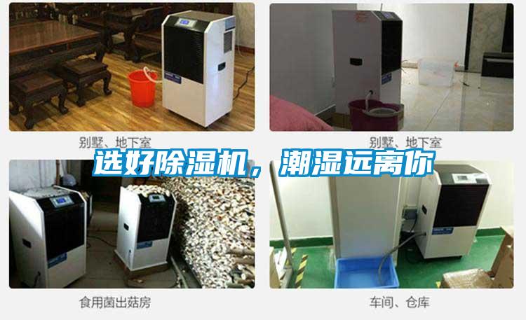 选好除湿机，潮湿远离你