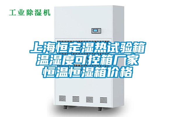 上海恒定湿热试验箱 温湿度可控箱厂家 恒温恒湿箱价格