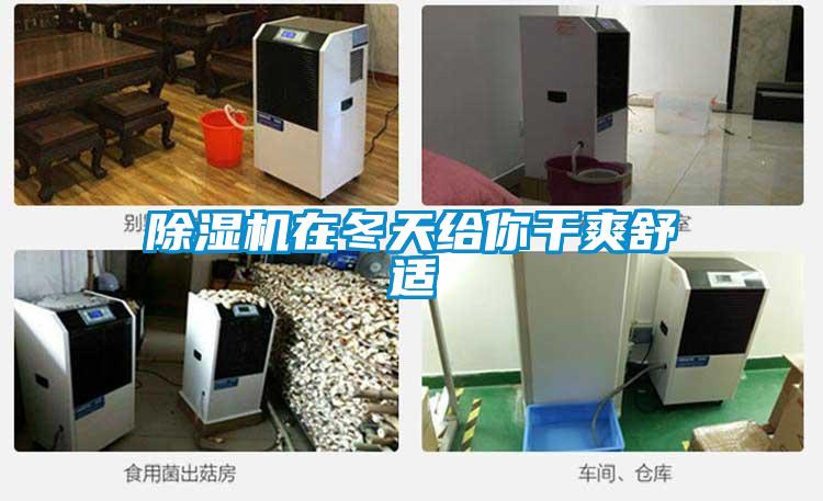 除湿机在冬天给你干爽舒适