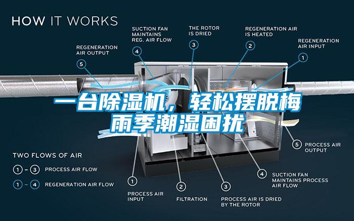 一台除湿机，轻松摆脱梅雨季潮湿困扰