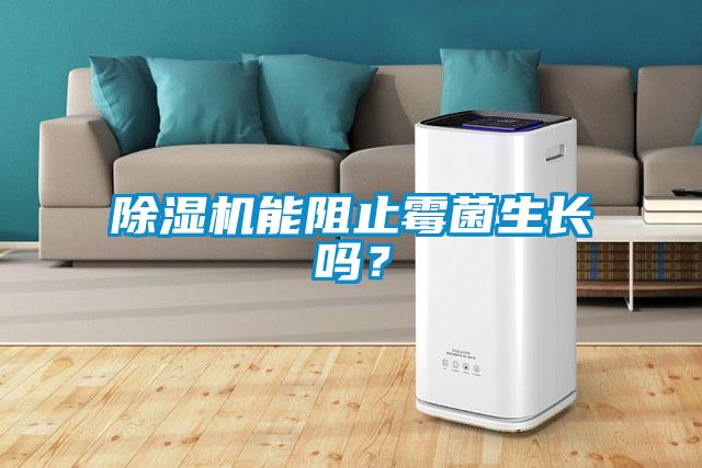 除湿机能阻止霉菌生长吗?