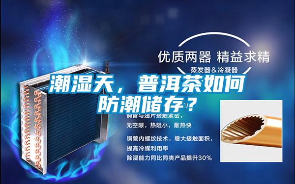 潮湿天,普洱茶如何防潮储存?