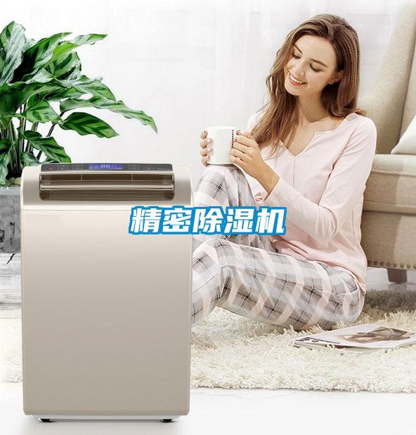 精密除湿机