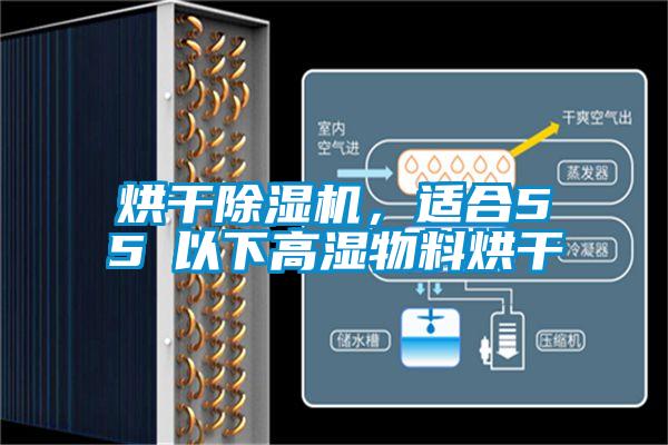 烘干除湿机，适合55℃以下高湿物料烘干