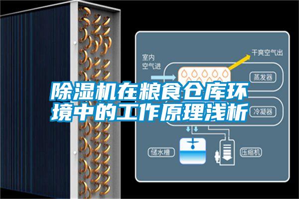 除湿机在粮食仓库环境中的工作原理浅析