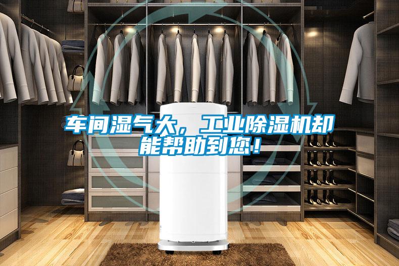 车间湿气大，工业除湿机却能帮助到您！