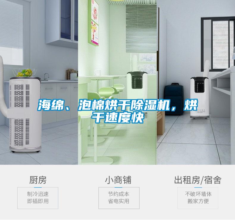 海绵、泡棉烘干除湿机，烘干速度快