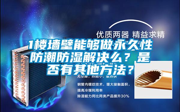 1楼墙壁能够做永久性防潮防湿解决么？是否有其他方法？