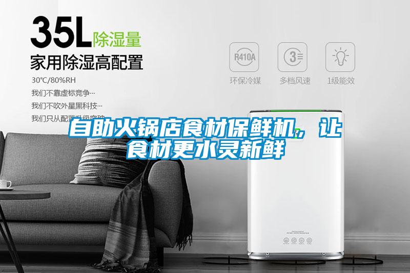 自助火锅店食材保鲜机,让食材更水灵新鲜
