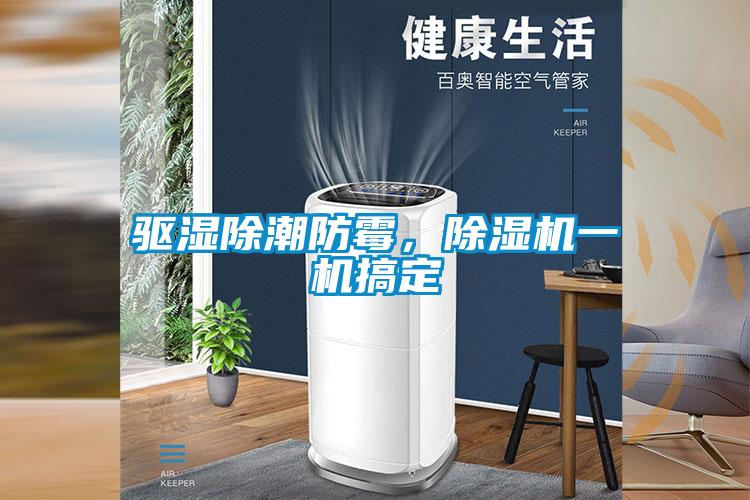 驱湿除潮防霉，除湿机一机搞定