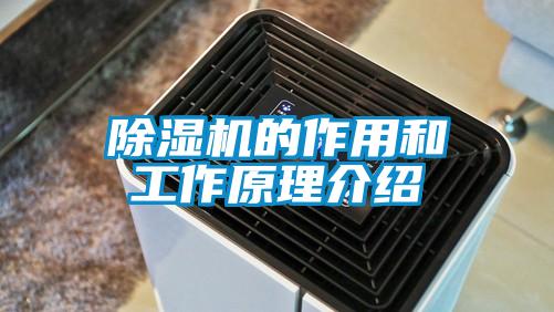 除湿机的作用和工作原理介绍