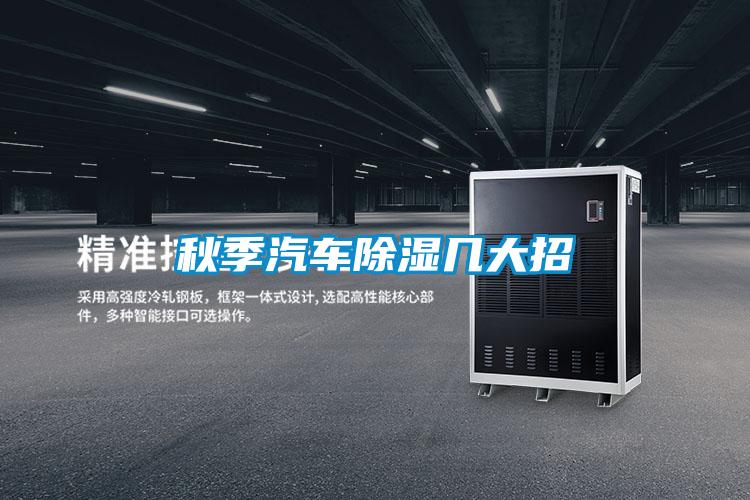 秋季汽车除湿几大招