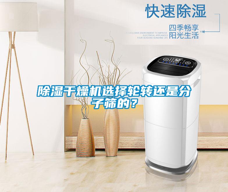 除湿干燥机选择轮转还是分子筛的?