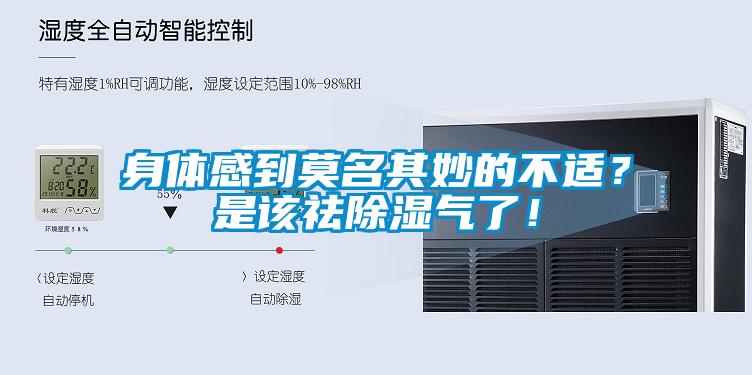 身体感到莫名其妙的不适？是该祛除湿气了！