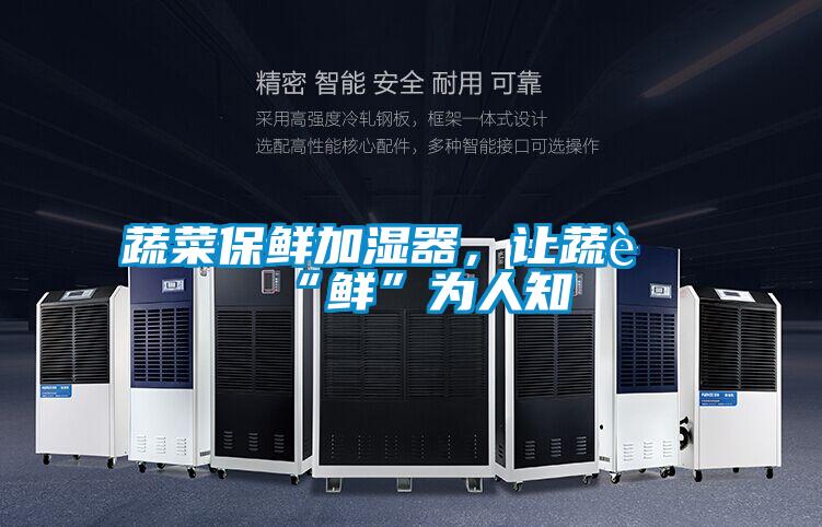 蔬菜保鲜加湿器，让蔬菜“鲜”为人知