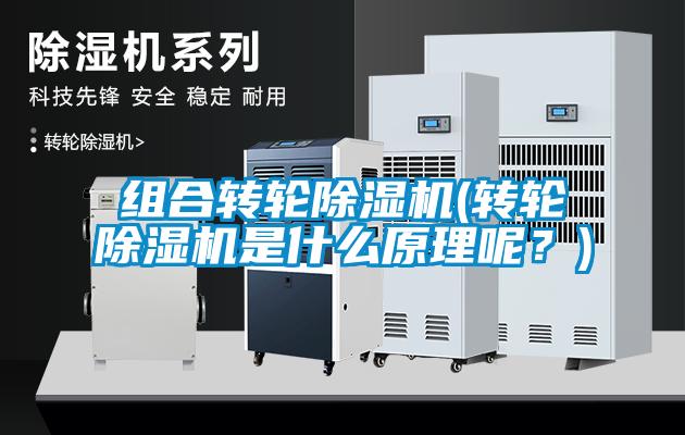 组合转轮除湿机(转轮除湿机是什么原理呢?)