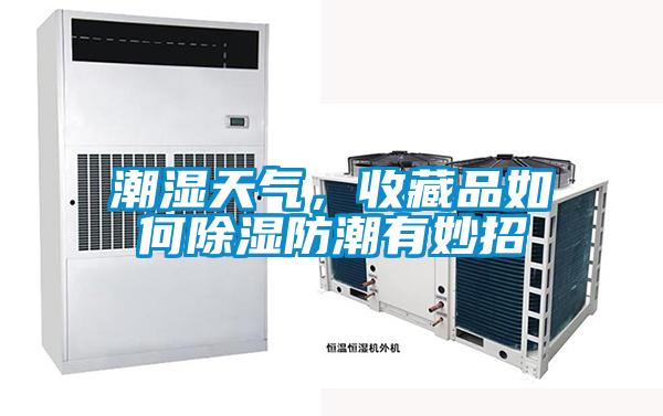 潮湿天气，收藏品如何除湿防潮有妙招
