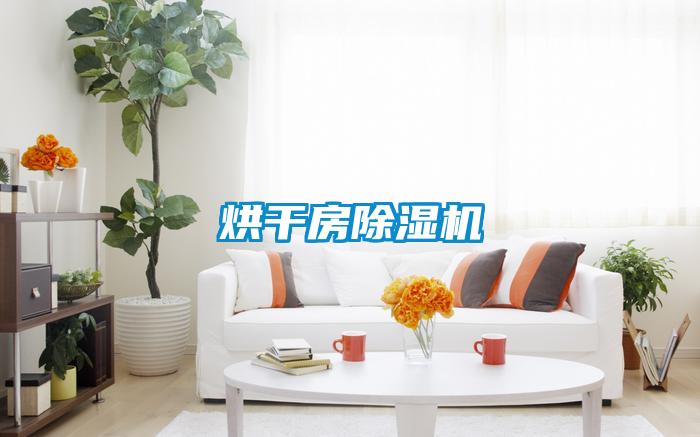 烘干房除湿机