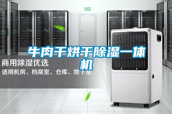 牛肉干烘干除湿一体机