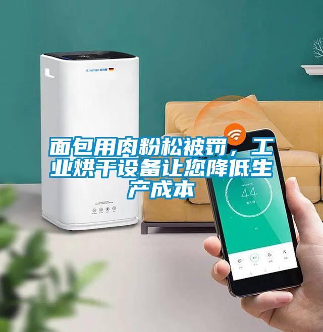 面包用肉粉松被罚，工业烘干设备让您降低生产成本