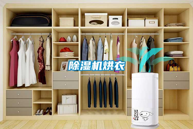 除湿机烘衣